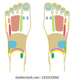 Ilustración colorida de la zona reflexiva del instep.Material vector fácil de usar.