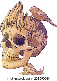 colorful illustration with skull, bird and snail