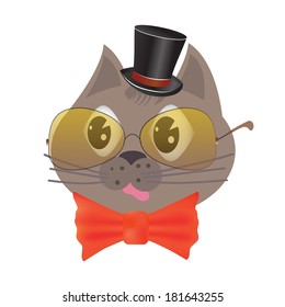 colorful illustration with smart cat for your design