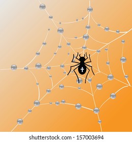 colorful illustration with Spider and web for your design