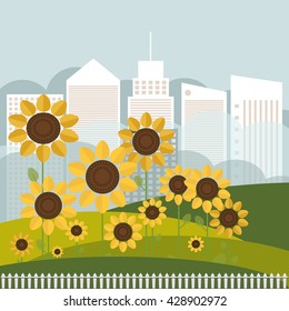Colorful Illustration With Sunflowers And Skylines