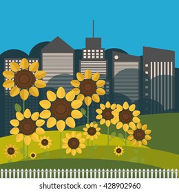 Colorful Illustration With Sunflowers And Skylines. Sunrise.