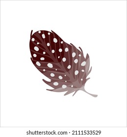 Colorful illustration of thrush bird feather isolated on white background. Vector graphics.