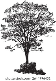 Colorful illustration of trees, perfect for nature-themed designs.
