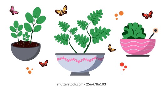 Colorful illustration of various indoor plants surrounded by butterflies