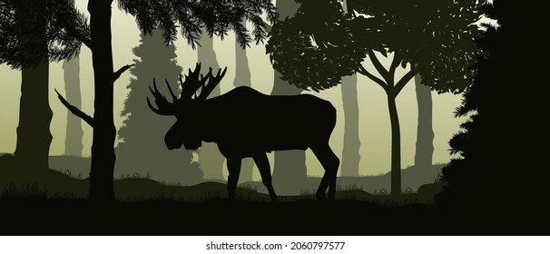 Ilustración colorida. Vector. Alce en el bosque.