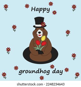 Colorful image of a groundhog in a hat with a bouquet tulip coming out of his hole. Groundhog Day