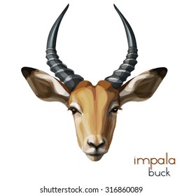 Colorful Impala Face Realistic Painting. Vector Illustration.