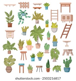 Colorful Indoor Plant Collection for Home Decor Illustration