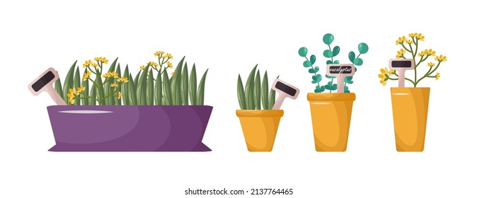 Colorful Indoor plants in boho style. Hygge arrangement of space. Home garden, urban jungle. Hand-drawn. Print, poster, sticker, banner, logo, label. Vector image on an isolated white background.