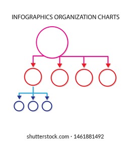 Colorful info graphic organization chart vector illustration.