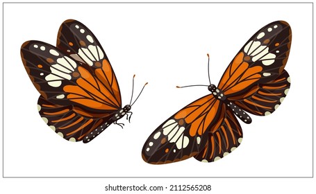 Colorful insect butterfly with white spots.Cartoon vector graphic.