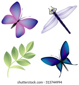 Colorful Insects