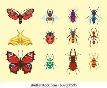 Colorful insects icons isolated wildlife wing detail summer bugs wild vector illustration