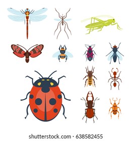Colorful insects icons isolated wildlife wing detail summer bugs wild vector illustration