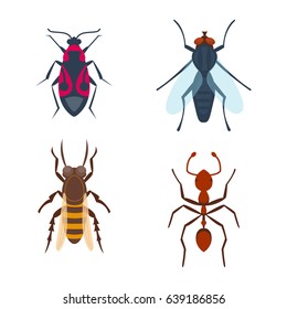 Colorful insects icons isolated, wildlife wing detail, summer bugs wild vector illustration