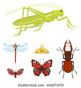 Colorful insects icons isolated wildlife wing detail summer bugs wild vector illustration