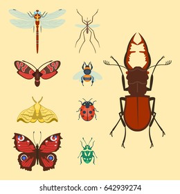 Colorful insects icons isolated wildlife wing detail summer bugs wild vector illustration