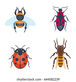 Colorful insects icons isolated wildlife wing detail summer bugs wild vector illustration