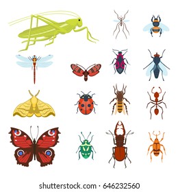Colorful insects icons isolated wildlife wing detail summer bugs wild vector illustration