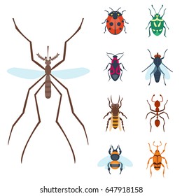 Colorful insects icons isolated wildlife wing detail summer bugs wild vector illustration