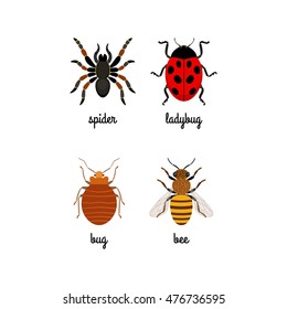 Colorful insects vector set with names isolated on white