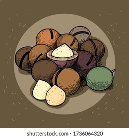 Colorful inshell macadamia nuts and peeled. Color composition in retro style. Vector illustration.