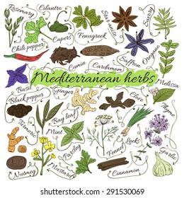 Colorful insulated set of local hand drawn herbs and spices dishes of the world on white background. The indicating arrows. Countries of the Mediterranean sea. Vector illustration