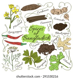 Colorful insulated set of local hand drawn herbs and spices dishes of the world on white background. The indicating arrows. Bangladesh. Vector illustration