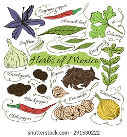 Colorful insulated set of local hand drawn herbs and spices dishes of the world on white background. The indicating arrows. Exotic Mexico. Vector illustration