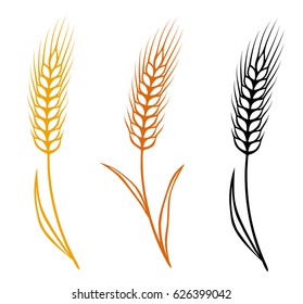 colorful isolated hand drawn wheat ears set on white background