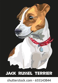 Colorful isolated vector portrait of dog Jack Russel terrier on black background
