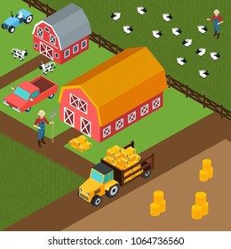 Colorful isometric 3d background with farmers grazing cows and sheep near shed with hay vector illustration