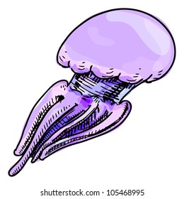 Colorful jelly fish isolated on white background. Hand drawing sketch vector illustration
