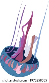 Colorful jellyfish with deadly poison.