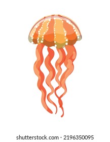 Colorful jellyfish of different types.