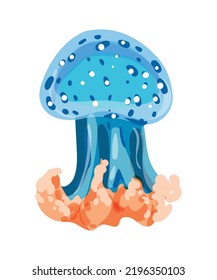 Colorful jellyfish of different types.