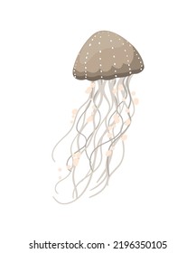 Colorful jellyfish of different types.