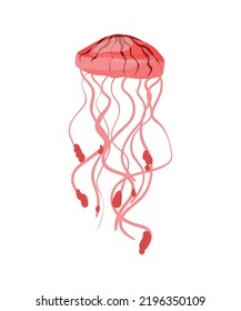 Colorful jellyfish of different types.