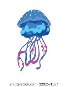 Colorful jellyfish of different types.
