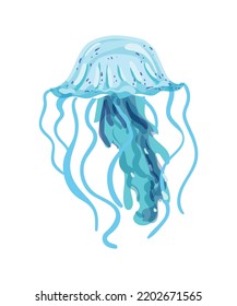 Colorful jellyfish of different types.