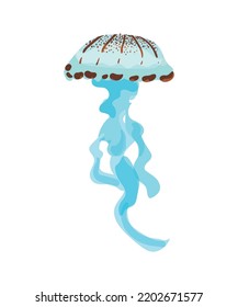 Colorful jellyfish of different types.