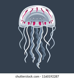 Colorful jellyfish on dark background, vector illustration