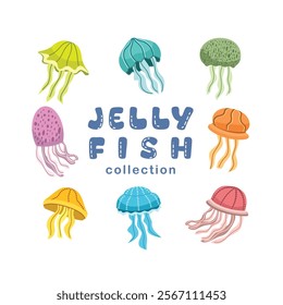 Colorful jellyfish. Set of jellyfish illustration. Underwater creatures. Sea animal. Deep sea creatures. Medusa animal.