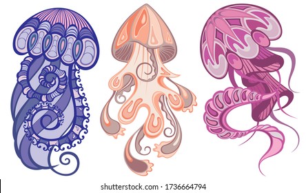 Colorful jellyfish set, swimming marine creatures vector Illustrations