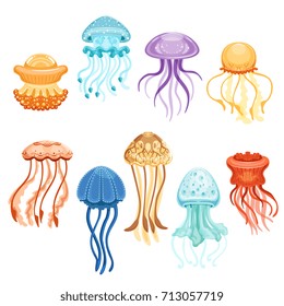 Colorful jellyfish set, swimming marine creatures watercolor vector Illustrations