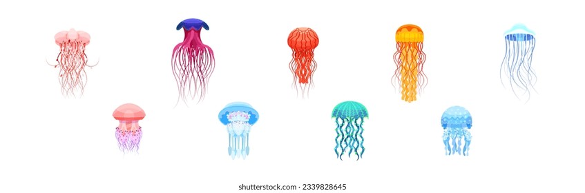 Farbenfrohe Quallen mit einer Umbrella-förmigen Glocke und Trailing Tentacles Vectorset