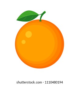 Colorful juicy orange fruit vector illustration isolated on white background.