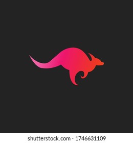 Colorful kangaroo logo designs template for company.