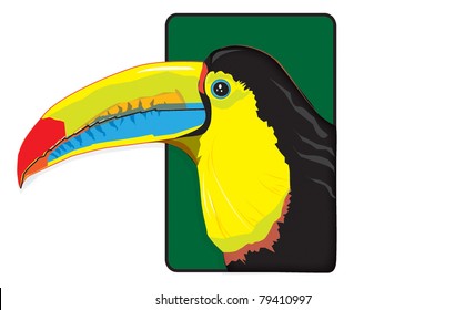 colorful keel-billed toucan vector drawing